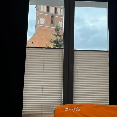 Goscinne Fabio Ii Chojnice