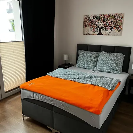 Goscinne Fabio Ii * Chojnice