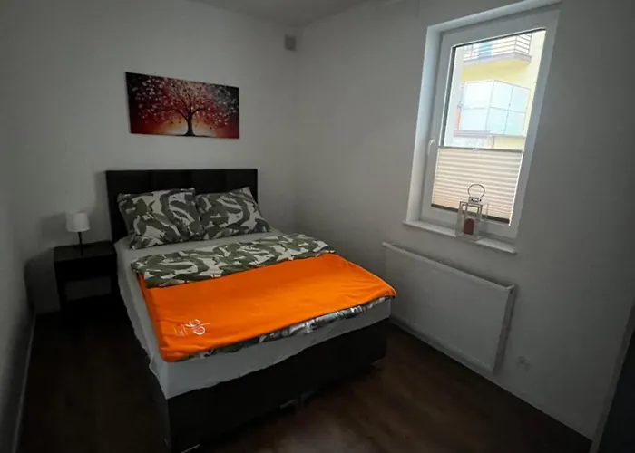 Goscinne Fabio Ii * 霍伊尼采