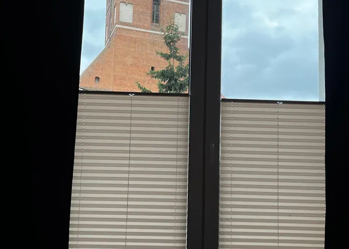 Goscinne Fabio Ii 霍伊尼采